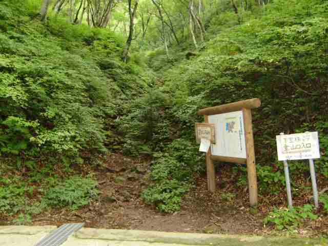 e0114318_93828.jpg