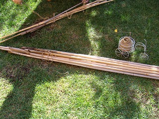 f0170524_1610344.jpg