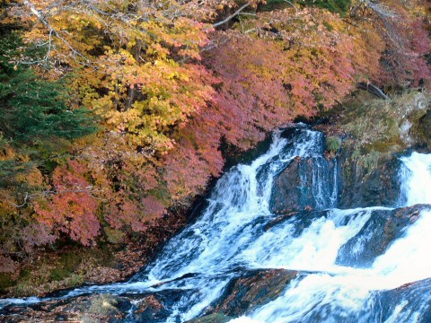 f0068341_23152365.jpg