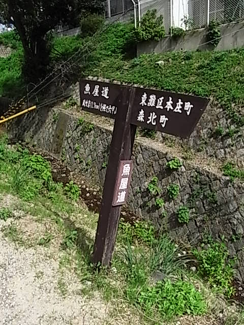 b0017844_8512670.jpg
