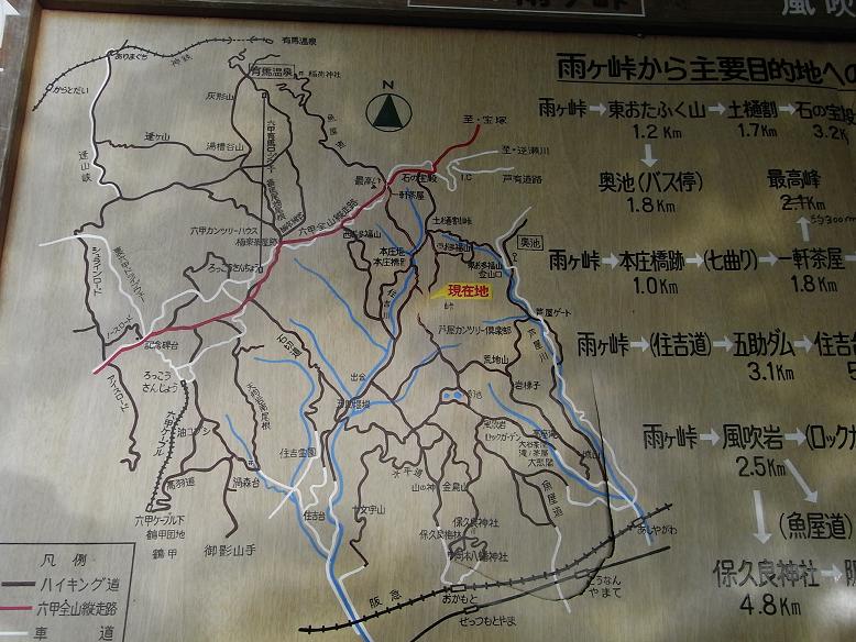 b0017844_9555975.jpg