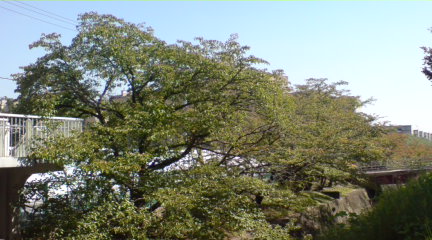 b0037544_13441058.jpg