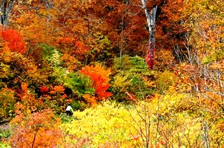 c0047856_2322046.jpg