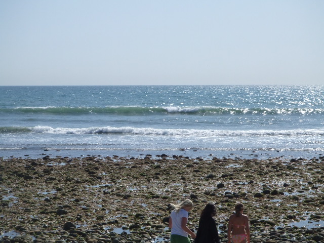 f0172157_1335164.jpg