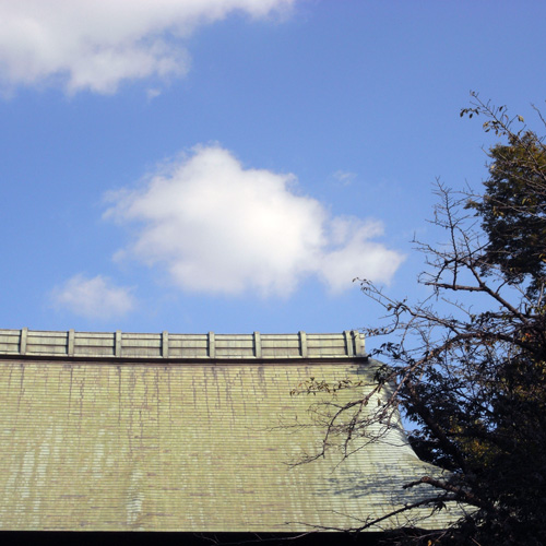 大井町線沿線でピンホール写真撮影_f0117059_1914473.jpg