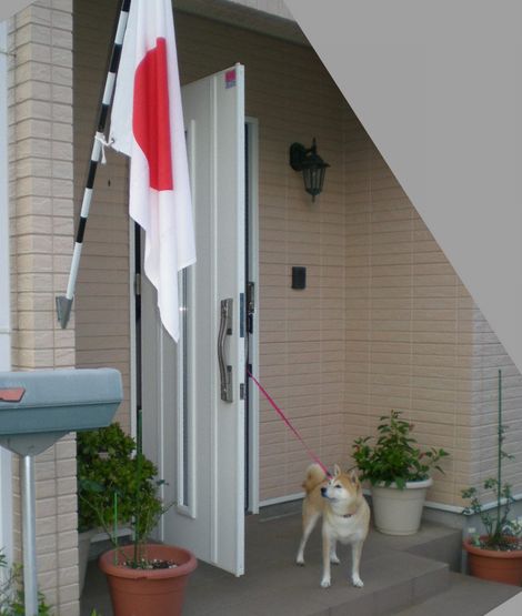 2008年10月13日(月)愛ちゃんが心ちゃんを妹として認めた!_f0060461_17111022.jpg