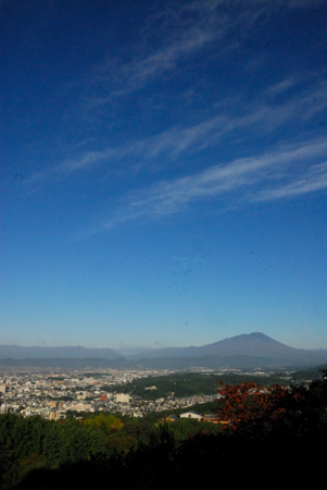 a0073962_1181895.jpg