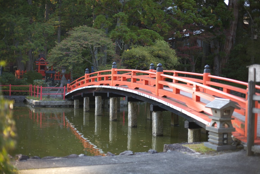 c0108863_222497.jpg
