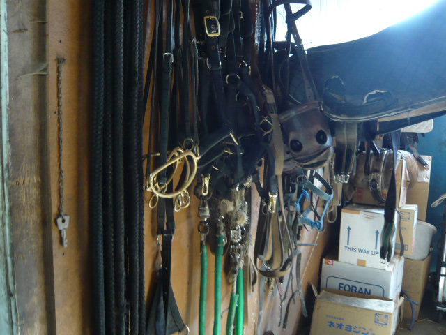c0100865_727301.jpg
