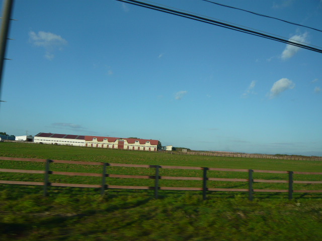 c0100865_7325817.jpg