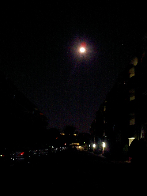 b0155973_22391614.jpg