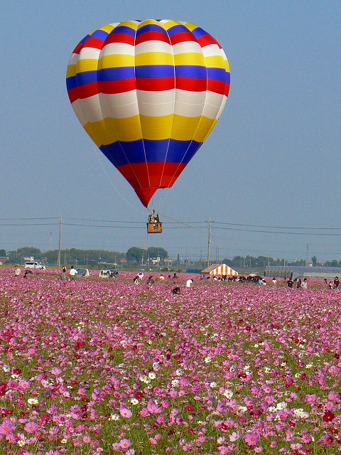 d0010073_15542694.jpg