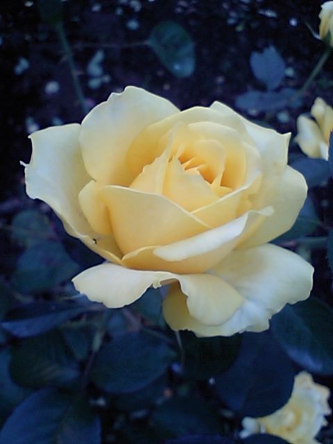 b0041576_21192130.jpg