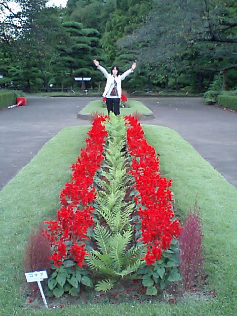 b0041576_21201679.jpg