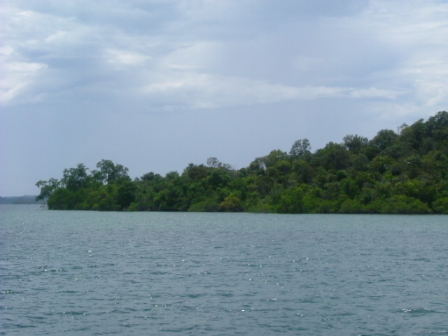 a0067578_8562994.jpg