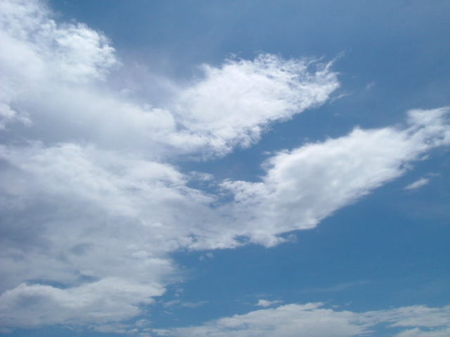 a0067578_8574261.jpg