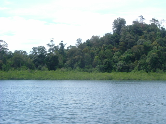 a0067578_8582694.jpg