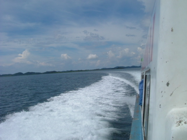 a0067578_858424.jpg