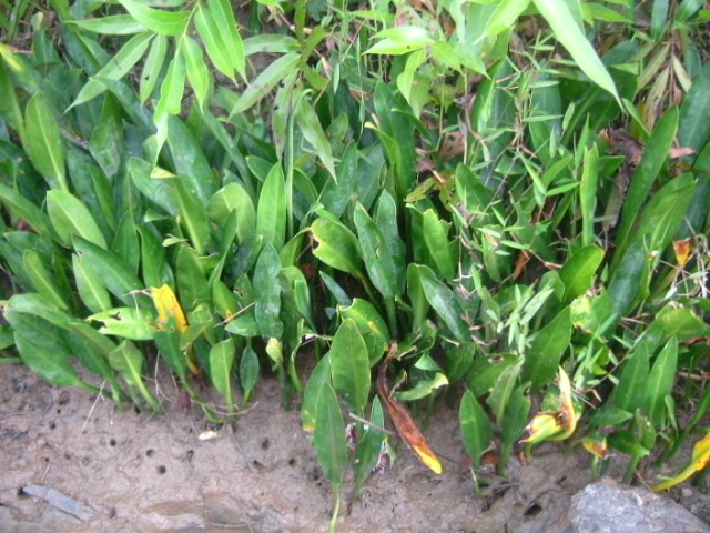 a0067578_9133354.jpg