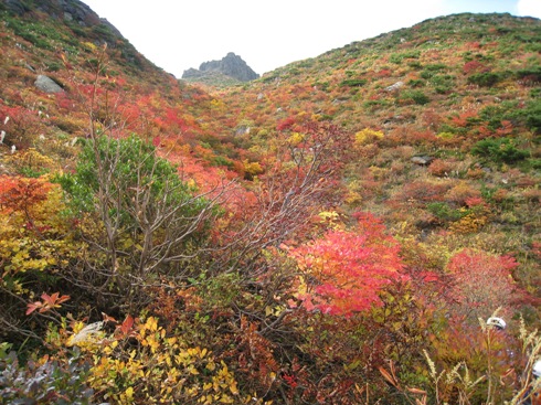 安達太良登山の紅葉_a0087378_5122926.jpg