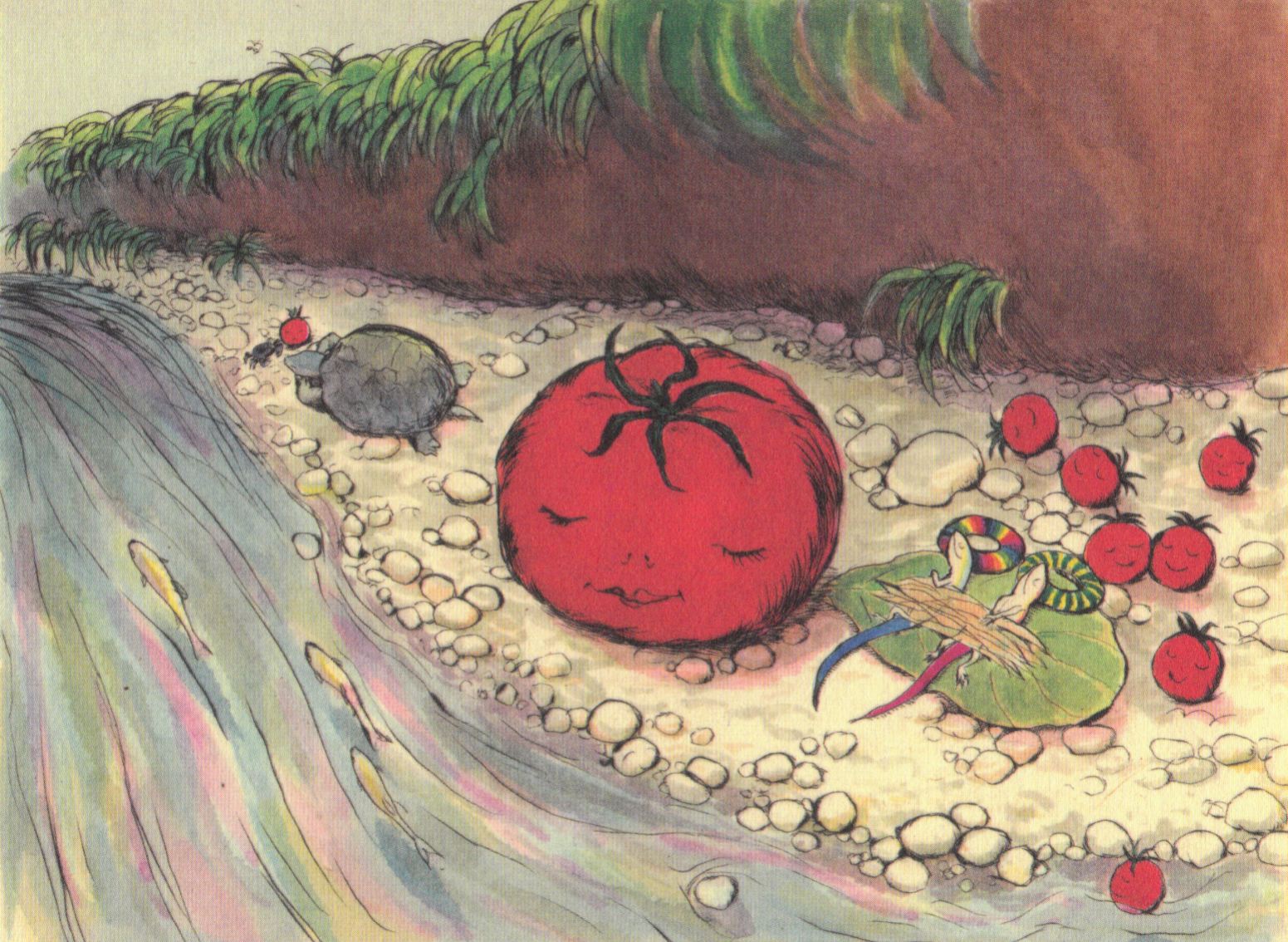 絵本作家 田中清代さん 古楽器演奏家 渡辺敏晴の日記