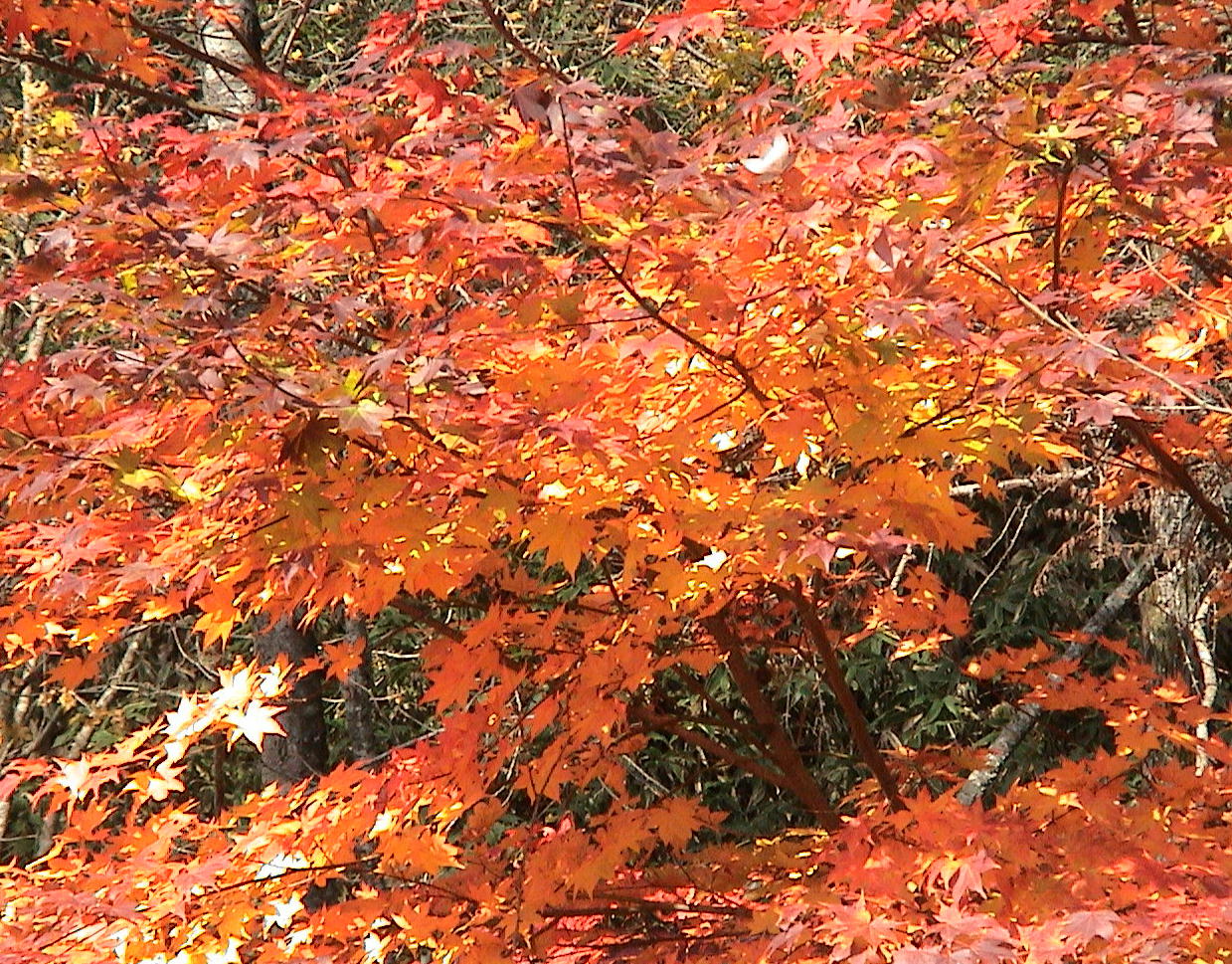 c0171889_21223890.jpg
