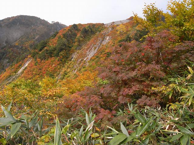 １０月７日、雨飾山_f0138096_1951356.jpg