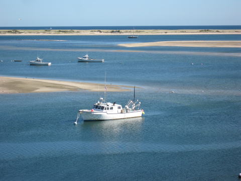 c0090198_05637.jpg