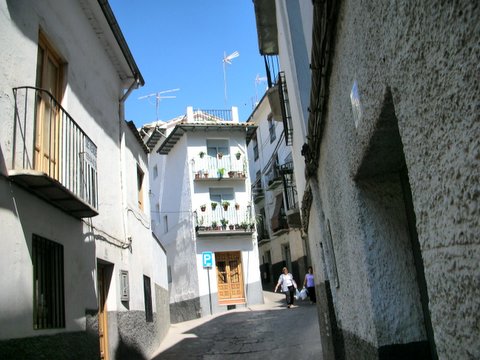 e0061699_8382.jpg