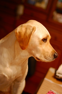 d0091700_20252423.jpg