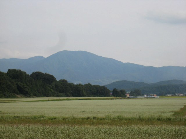 d0121300_0484799.jpg