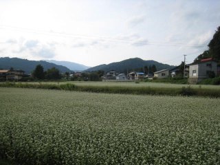 故郷の風景_d0121300_0545712.jpg