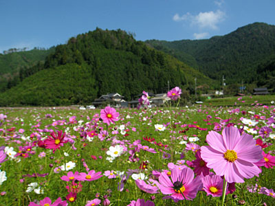 d0090101_1954321.jpg