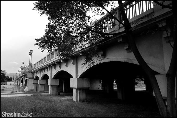 c0102003_1930294.jpg
