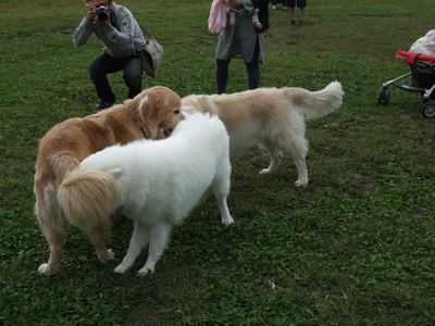 d0149103_10541746.jpg