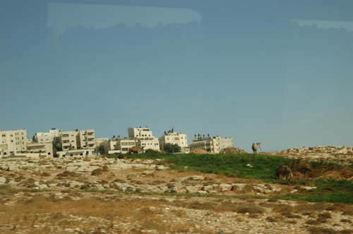 e0083204_234121100.jpg