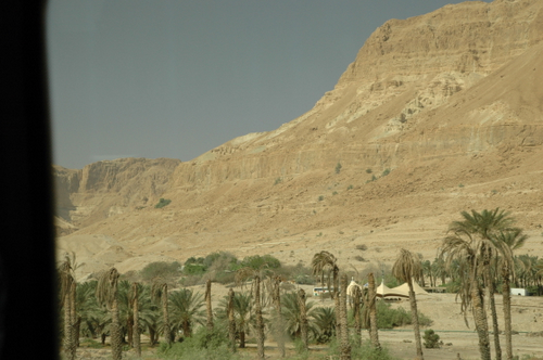 e0083204_23475480.jpg