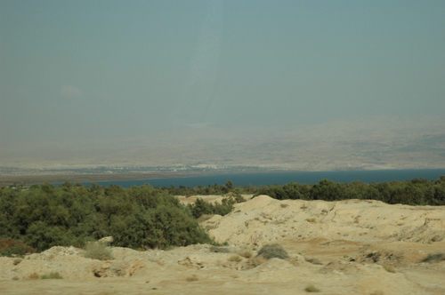 e0083204_23503598.jpg