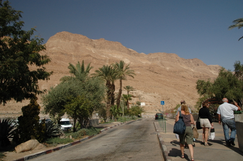 e0083204_2358854.jpg