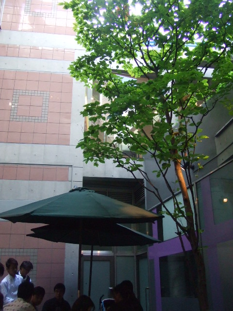 自由が丘女神まつり_e0123104_6124685.jpg