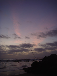 d0126508_22534974.jpg