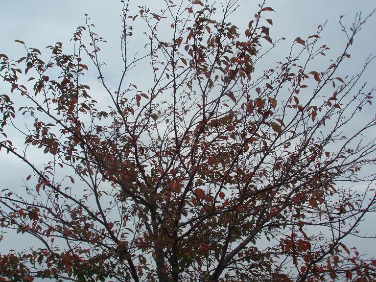 f0179209_1028672.jpg