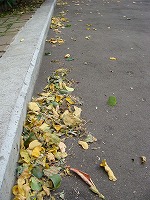 f0170524_1384263.jpg