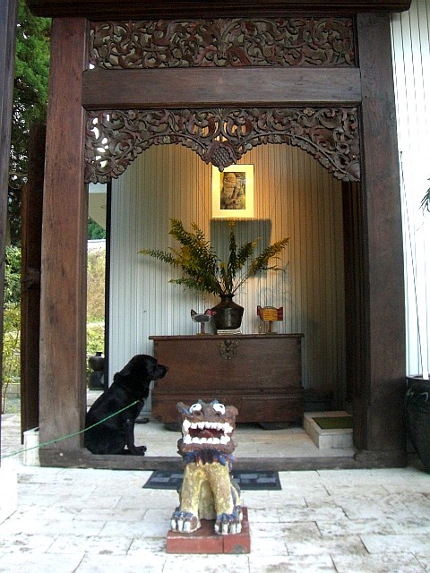 Nyima(ニマ)_b0152027_124587.jpg