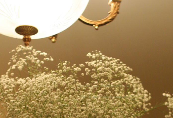 シェ松尾青山サロン様の装花　かすみ草とカラー_a0042928_19544884.jpg