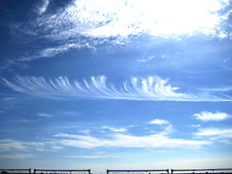 a0072328_13303299.gif