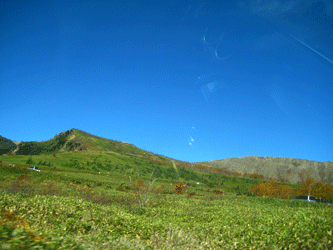 a0072328_13392898.gif