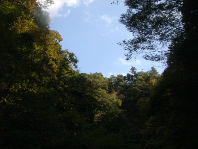 e0120131_1057442.jpg