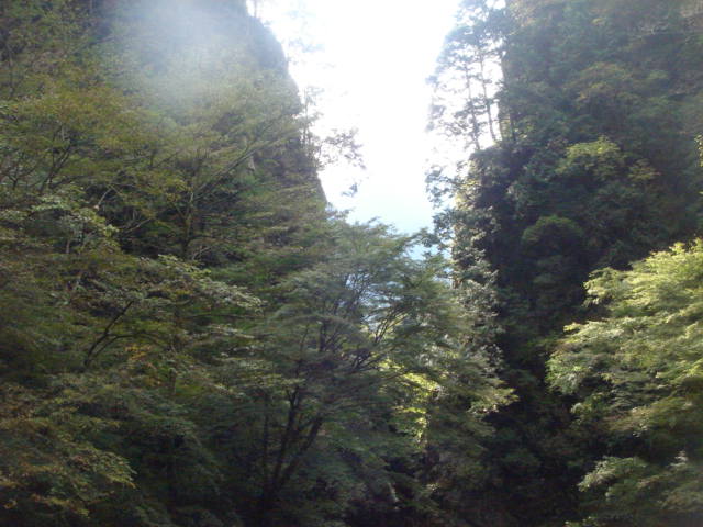 e0120131_10593386.jpg