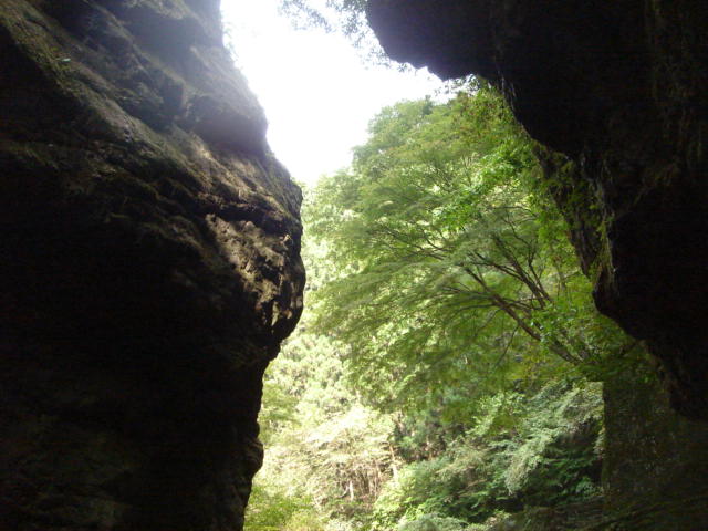 e0120131_1102193.jpg